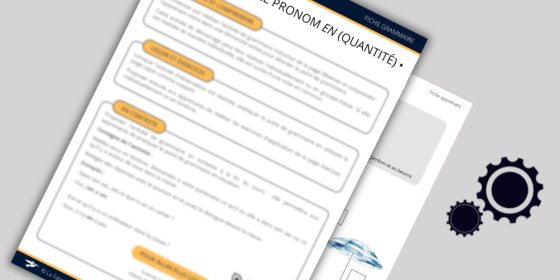 Le pronom EN avec les quantités