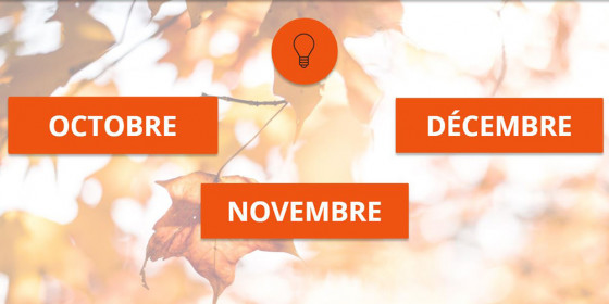 Fêtes et traditions : octobre, novembre, décembre
