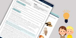 Comptine des animaux de la fôret