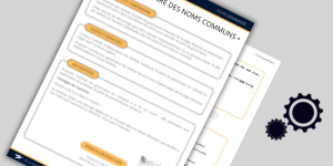 Le genre des noms communs