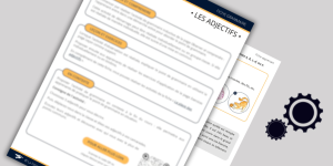 Les adjectifs