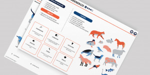Le monde des animaux