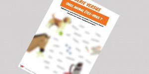 Quel animal êtes-vous ?